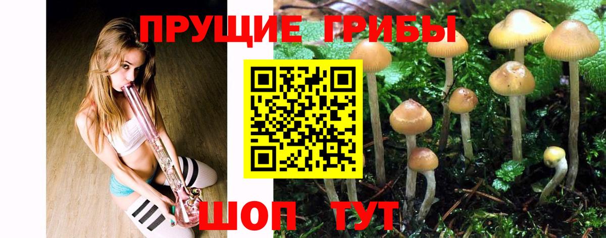 Омск  Галлюциногенные грибы Magic Shrooms  Вход с VPN  Галлюциногенные грибы мухоморы 
