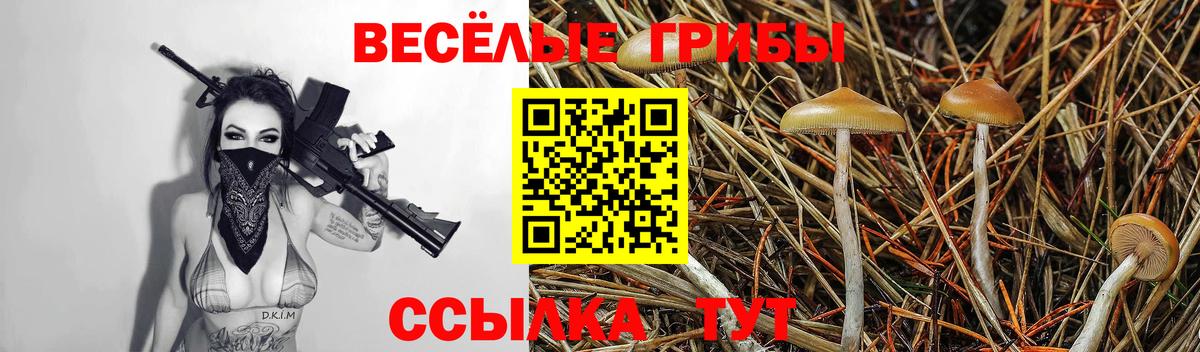 Галлюциногенные грибы GOLDEN TEACHER Омск